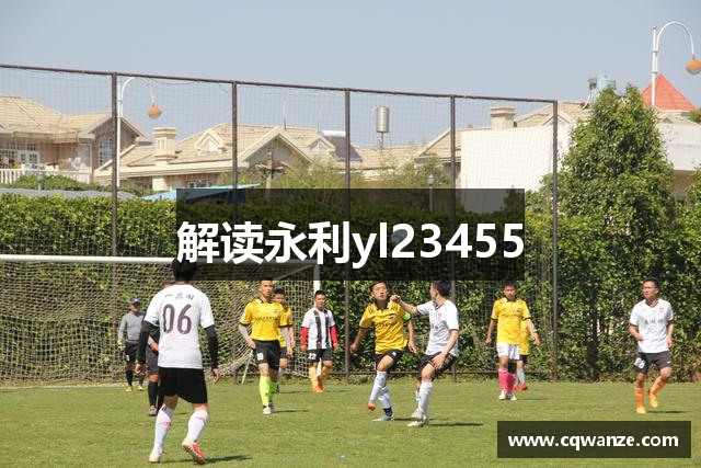 解读永利yl23455